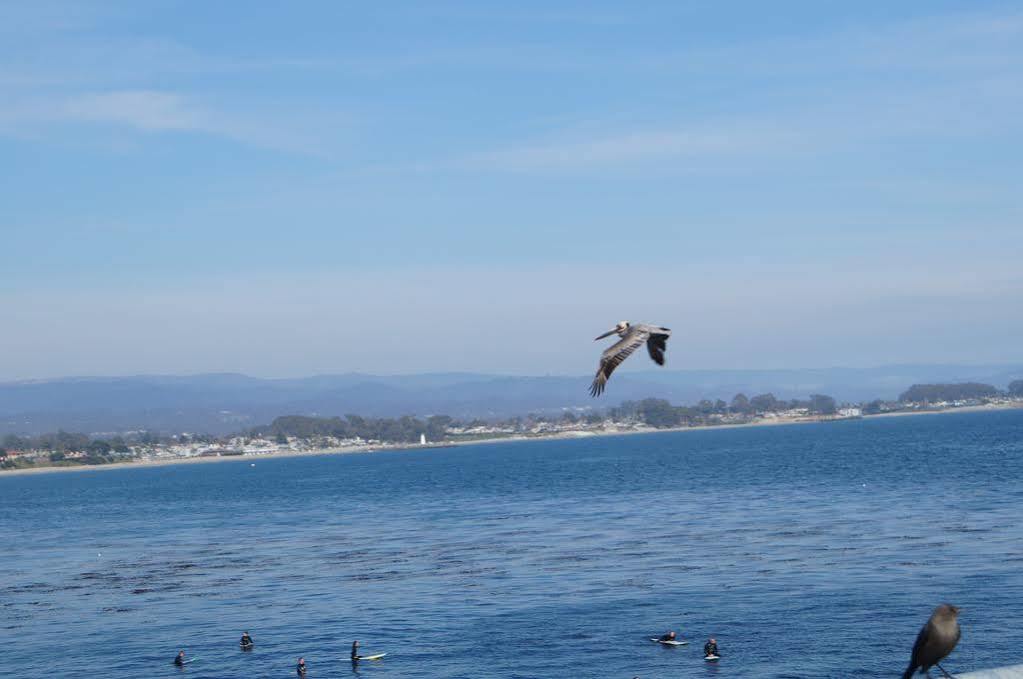 Pacific Inn Santa Cruz Luaran gambar